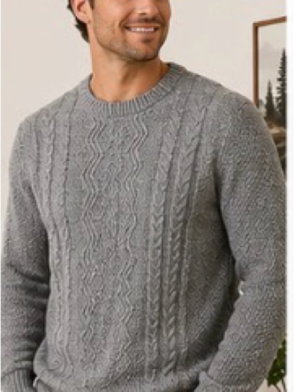 RW&CO Men’s Large Grey Cable Knit Textured Crewneck Sweater
